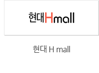 현대 H mall